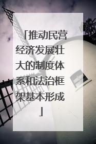 推动民营经济发展壮大的制度体系和法治框架基本形成