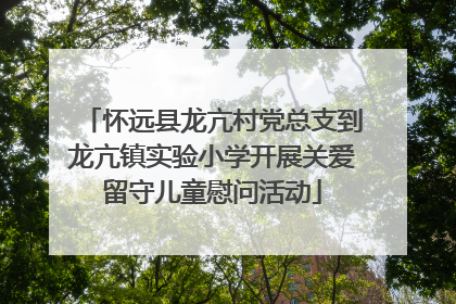 怀远县龙亢村党总支到龙亢镇实验小学开展关爱留守儿童慰问活动