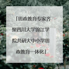 思政教育专家齐聚四川大学锦江学院共研大中小学思政教育一体化