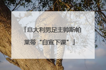 意大利男足主帅斯帕莱蒂“自宣下课”