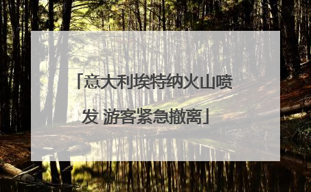 意大利埃特纳火山喷发 游客紧急撤离