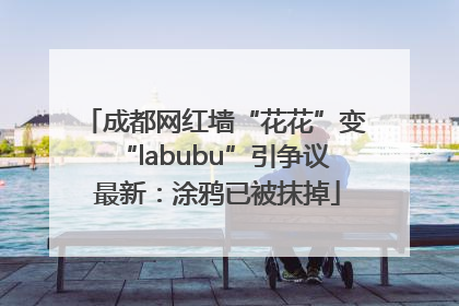 成都网红墙“花花”变“labubu”引争议 最新：涂鸦已被抹掉