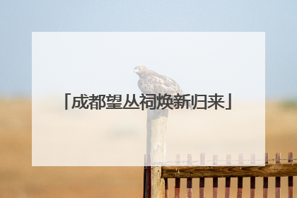 成都望丛祠焕新归来