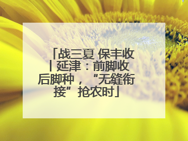 战三夏 保丰收丨延津：前脚收 后脚种，“无缝衔接”抢农时