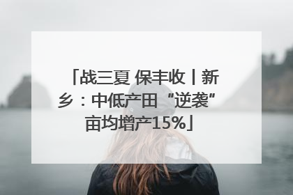战三夏 保丰收丨新乡：中低产田“逆袭” 亩均增产15%