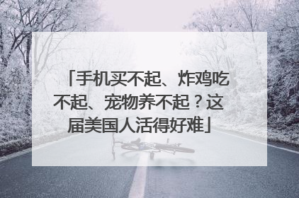 手机买不起、炸鸡吃不起、宠物养不起？这届美国人活得好难