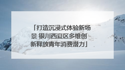 打造沉浸式体验新场景 银川西夏区多维创新释放青年消费潜力