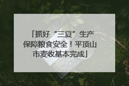 抓好“三夏”生产 保障粮食安全！平顶山市麦收基本完成