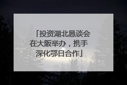 投资湖北恳谈会在大阪举办，携手深化鄂日合作