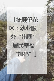 抚顺望花区：就业服务“出圈” 居民幸福“加码”