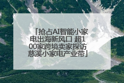 抢占AI智能小家电出海新风口 超100家跨境卖家探访慈溪小家电产业带