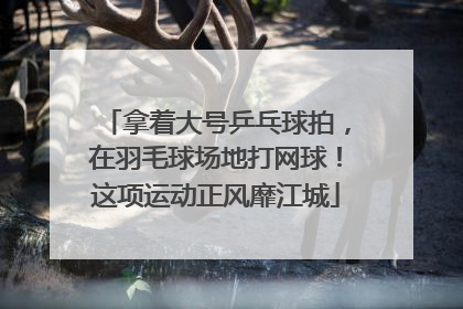 拿着大号乒乓球拍，在羽毛球场地打网球！这项运动正风靡江城