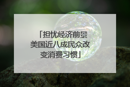 担忧经济前景 美国近八成民众改变消费习惯