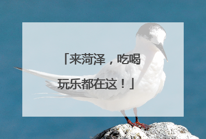 来菏泽，吃喝玩乐都在这！