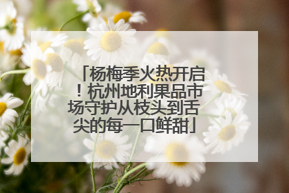 杨梅季火热开启！杭州地利果品市场守护从枝头到舌尖的每一口鲜甜