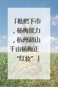 枇杷下市，杨梅接力，杭州超山千亩杨梅正“红妆”