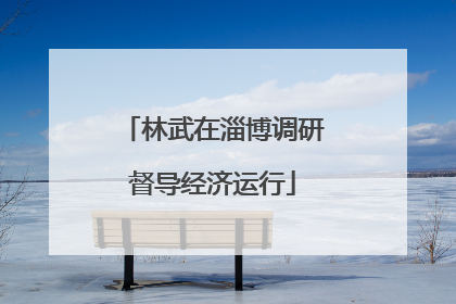 林武在淄博调研督导经济运行