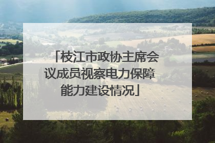 枝江市政协主席会议成员视察电力保障能力建设情况