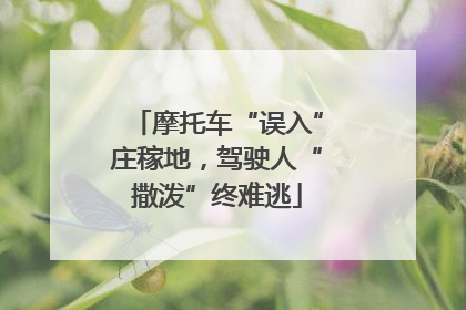 摩托车“误入”庄稼地，驾驶人“撒泼”终难逃