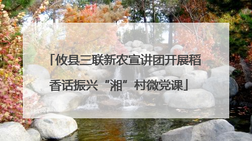 攸县三联新农宣讲团开展稻香话振兴“湘”村微党课