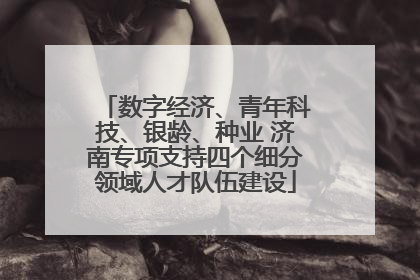 数字经济、青年科技、银龄、种业 济南专项支持四个细分领域人才队伍建设