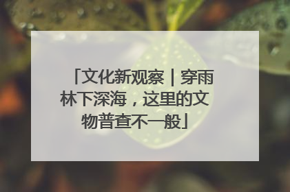 文化新观察｜穿雨林下深海，这里的文物普查不一般