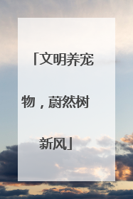 文明养宠物，蔚然树新风