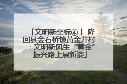 文明新坐标④丨 隆回县金石桥镇黄金井村：文明新风生“黄金” 振兴路上展新姿