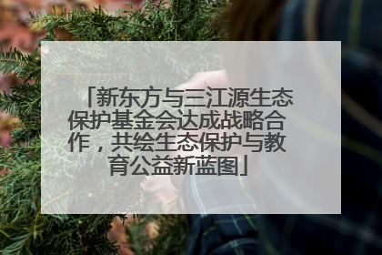 新东方与三江源生态保护基金会达成战略合作，共绘生态保护与教育公益新蓝图