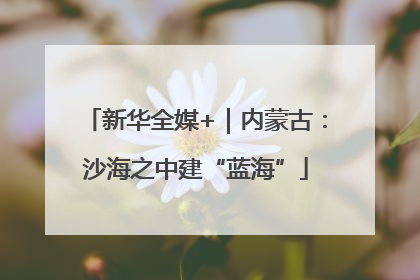 新华全媒+｜内蒙古：沙海之中建“蓝海”