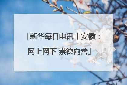 新华每日电讯丨安徽：网上网下 崇德向善