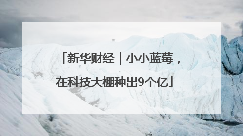 新华财经｜小小蓝莓，在科技大棚种出9个亿