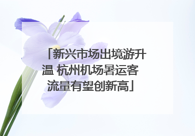 新兴市场出境游升温 杭州机场暑运客流量有望创新高