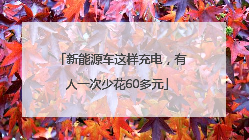 新能源车这样充电，有人一次少花60多元