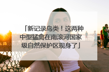新记录鸟类！这两种中型猛禽在南滚河国家级自然保护区现身了