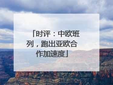 时评：中欧班列，跑出亚欧合作加速度