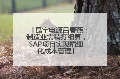 昆宇电源吕春燕：制造业需精打细算，SAP项目实现精细化成本管理