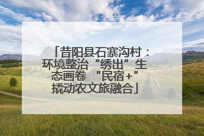 昔阳县石寨沟村：环境整治“绣出”生态画卷 “民宿+”撬动农文旅融合