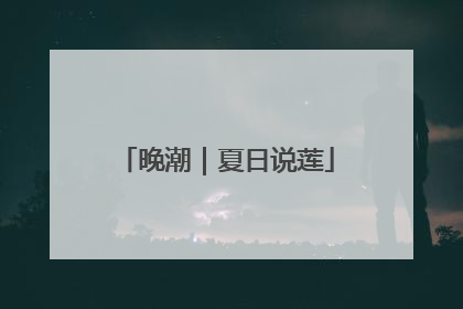 晚潮｜夏日说莲