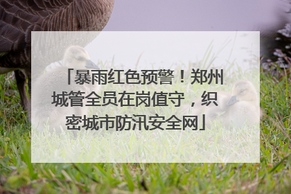 暴雨红色预警！郑州城管全员在岗值守，织密城市防汛安全网