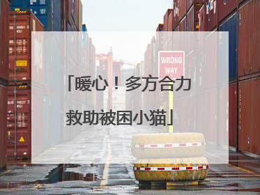 暖心！多方合力救助被困小猫