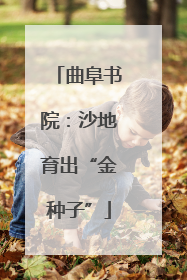 曲阜书院：沙地育出“金种子”