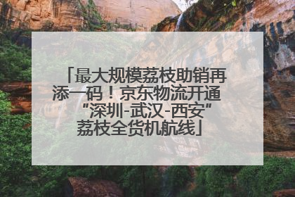 最大规模荔枝助销再添一码！京东物流开通“深圳-武汉-西安” 荔枝全货机航线