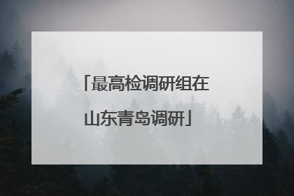 最高检调研组在山东青岛调研
