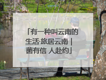 有一种叫云南的生活·旅居云南｜菌有信 人赴约