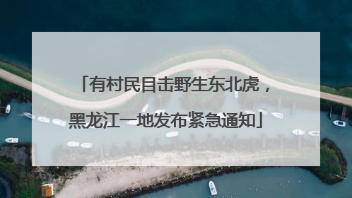 有村民目击野生东北虎，黑龙江一地发布紧急通知