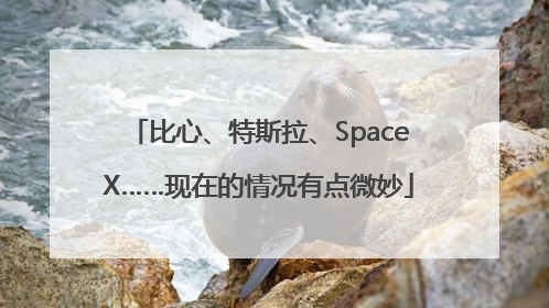 比心、特斯拉、SpaceX……现在的情况有点微妙