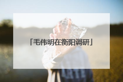 毛伟明在衡阳调研