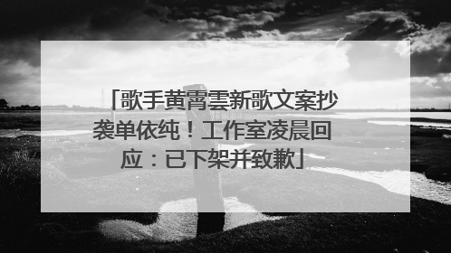 歌手黄霄雲新歌文案抄袭单依纯！工作室凌晨回应：已下架并致歉