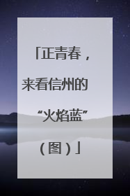 正青春，来看信州的“火焰蓝”（图）